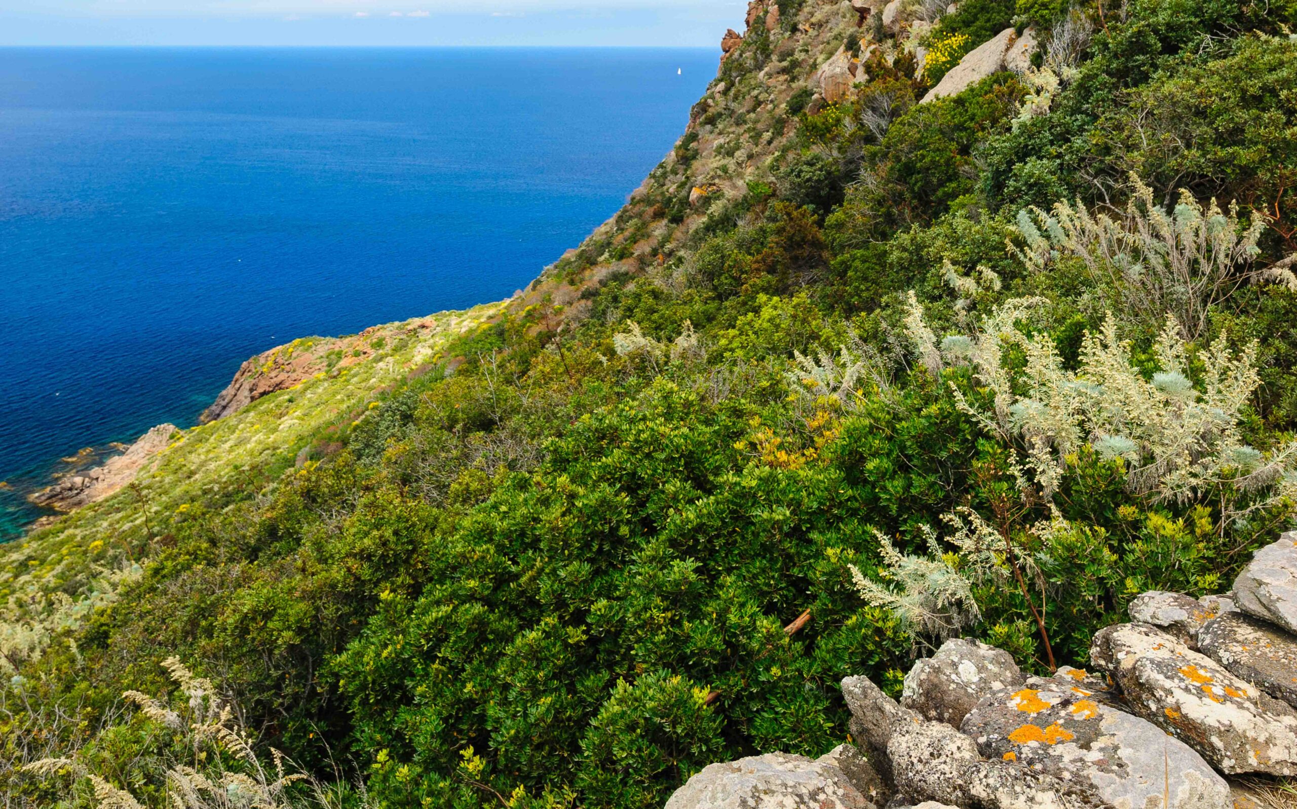 ristorante-filippino-lipari-cappero-eoliano