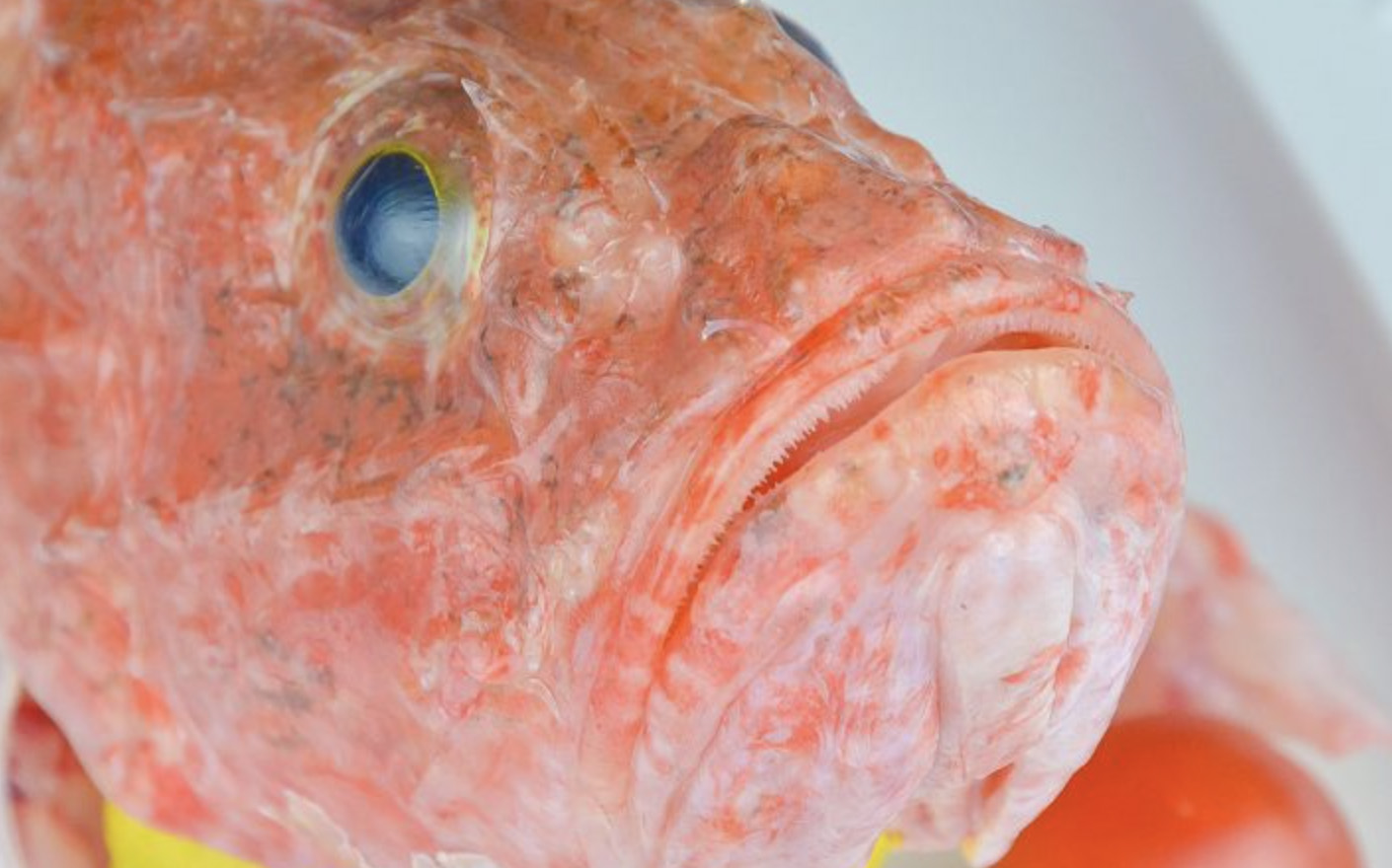 pesca-eolie-ristorante-filippino-lipari