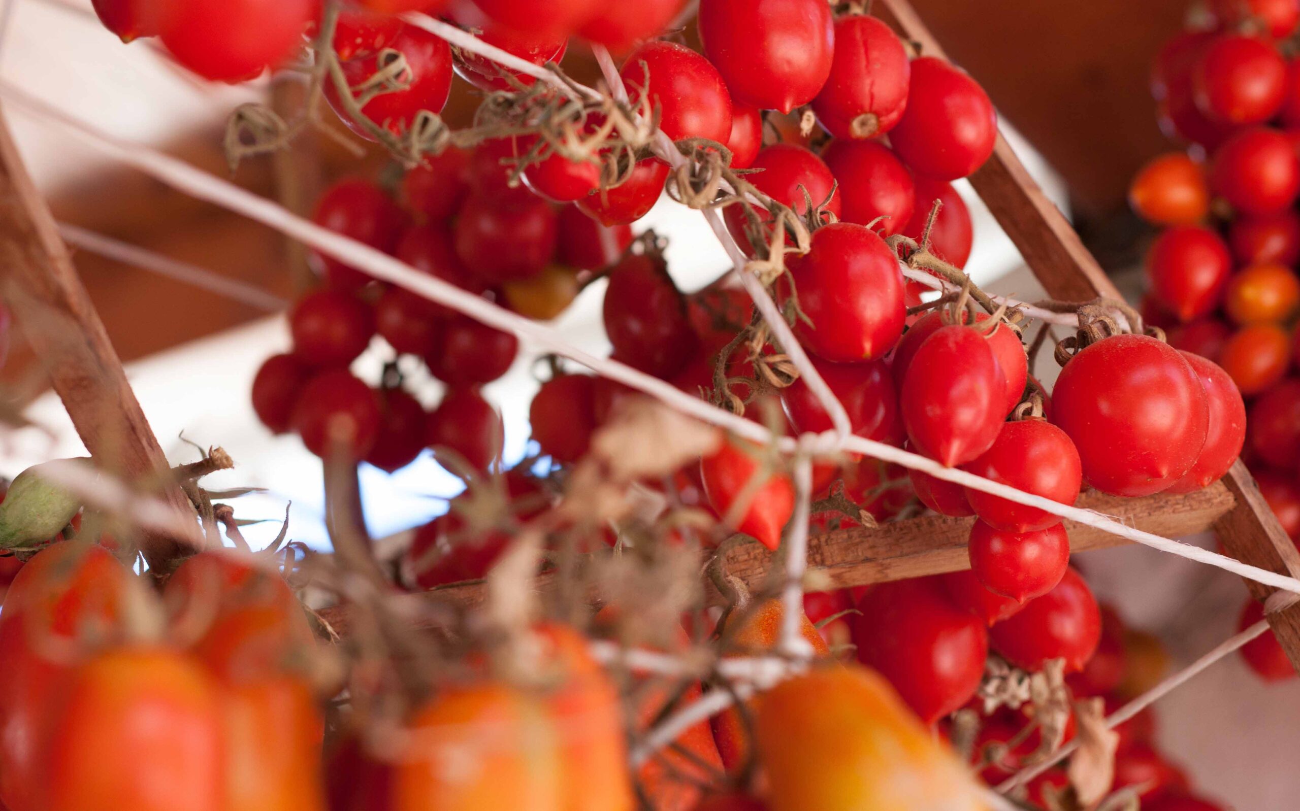 pomodori-a-pennula-ristorante-filippino-lipari.jpg